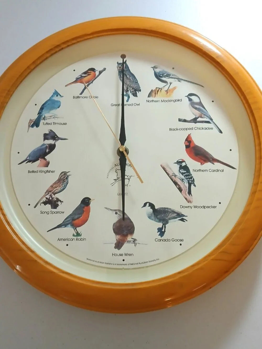 House Wren Singing Bird Clock